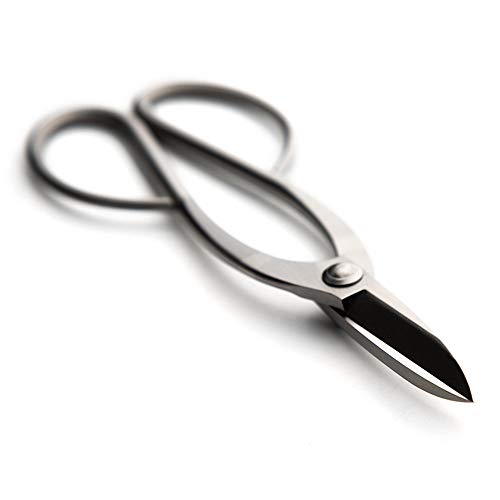 Tianbonsai BEG-0383 Beginner Bonsai Tools Top Pruning Scissors 200 Mm (7.5") Stainless Steel Standard Quality thumb #1