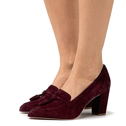 LEHOOR Women Chunky Block High Heel Suede Pumps Pointed Closed Toe Slip On Dress Loafers with Tassel 3" Thick Heel Fringed Pumps for Office Ladies Girls Work Shoes Elegant Comfortable Spring 4-11 M US3