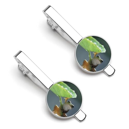 lN^Cs 2Zbg Ă̊^ JG A}KG ^CNbv   ߑANZT[ rWlX d   LO Ǝ w v[g