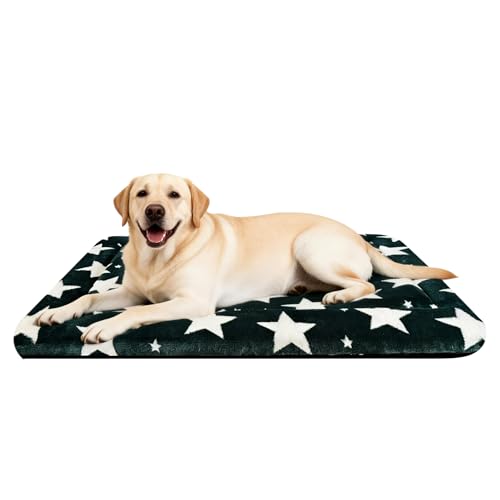 Dog Bed Mat – Soft & Comfortable Dog Kennel Pad for Crate – Durable Crate Bed & Mat for Dogs & Cats – Ideal for Crate, Kennel, and Home Use (Big&Little Stars Green, L(35"*23"*1.5"))