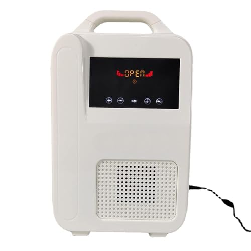 Booster d'oxygène électrique portable avec 30 millions d'ions négatifs — Machine à oxygène...