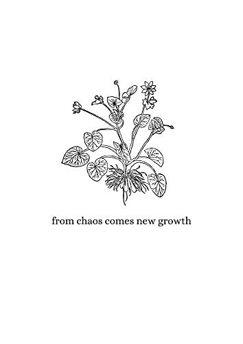 Daily Journal: from chaos comes new growth (English Edition)