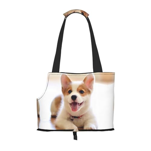 Sac de transport pour petits chiens pliable avec motif - 2
