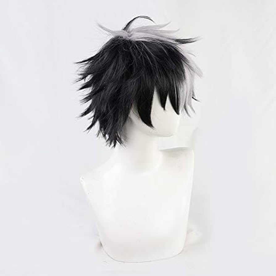 Amazon.co.jp: 魔法使いの約束 ブラッドリー○コスプレウィッグ : ホビー