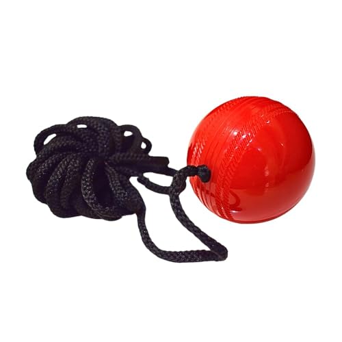 Image of PVC Hanging Cricket Ball for Practice /Training for Men, Women, Boys, Girls & Kids Home Practice Balls Ideal for Indoor & Outdoor Batting, Heavy Training
