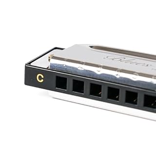 Professional Blues Harp Diatonic Harmonica, 10-Hole C Key, Sleek Design with Protective Case for Professional Player & Beginner, Gift for Family, Friends, Adult, Students - Les Beatles, Paul McCartney, John Lennon, RIngo Starr, George Harrison Professional Blues Harp Diatonic Harmonica, 10-Hole C Key, Sleek Design with Protective Case for Professional Player & Beginner, Gift for Family, Friends, Adult, Students – Image 3