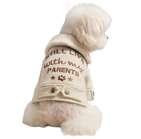 [ZsunNa]  H~ h ^ H~ ! 킢 t[X ܂ gbvX ӂӂ ybgEGA  L  hbNEGA LbgEGA   h TVc