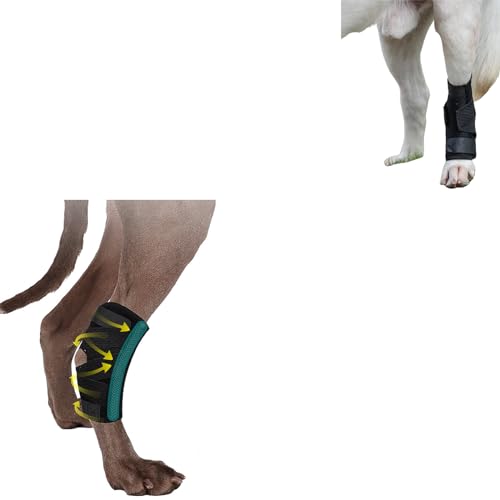 Image of (L /XL) Dog Leg Brace for Rear Leg with Rigid & Spring Inserts, Hock and Ankle Support, Dog Leg Sleeve with Reflective Straps, Small, 1 Pair, Black