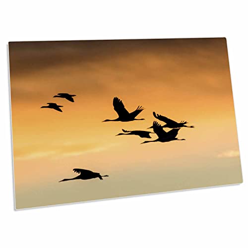 3dRose Cranes and Geese Flying Desk Pad Place Mat