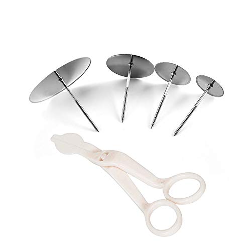 PZRT 5pcs Cake flower Nails and Plastic Scissor Set Stainless Steel Baking Tools for Icing Flowers Decoration (1 x Scissor + 4 x Nails)