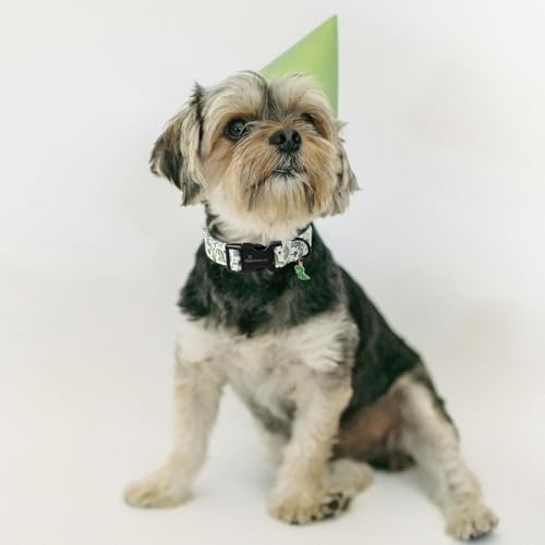 ARING PET Hundehalsband, Hundehalsband mit Grünen Dinosauriern Bedruckt, Niedliches Halsband aus Baumwolle mit Schnellverschluss aus Kunststoffschnalle für Jungen und Mädchen Hunde