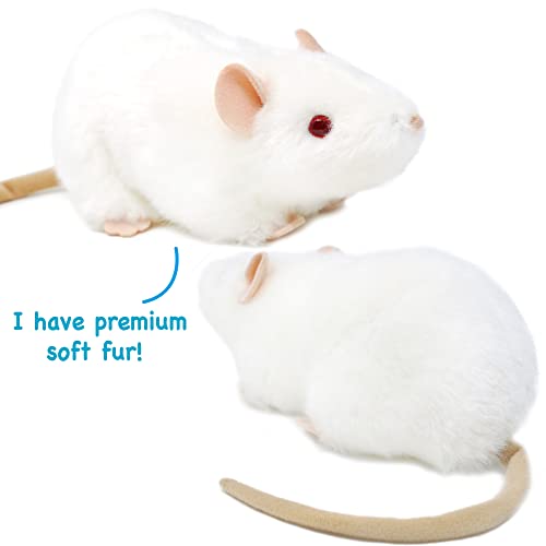 La Mejor review de Ratita peluche que Puedes comprar On-line. 19 La Mejor review de Ratita peluche que Puedes comprar On-line. 19
