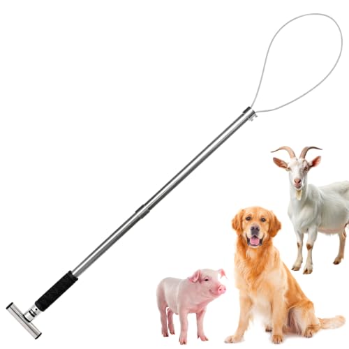Best 10 catch dog for hogs -Buying Guide