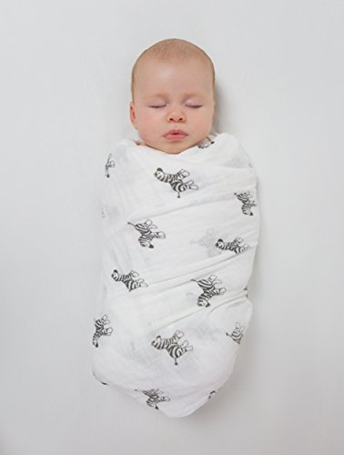 Image of Amazing Baby - Sensory Muslin Swaddle Blanket, Premium Cotton, XLarge 46x46 inches, Zebra, Black and White for Baby Visual Development