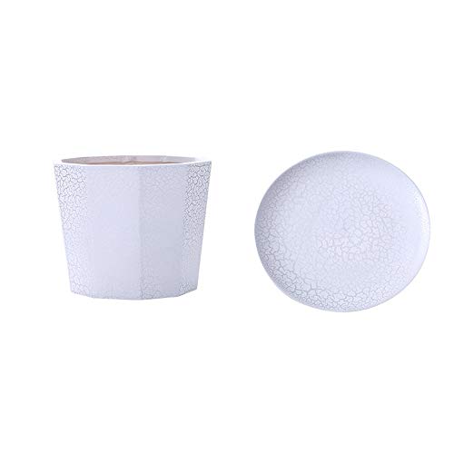 Macetas de cerámica para suculentas y cactus con plato contenedor gris plata