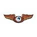 Past Time Signs MLK043 Flying Eye Automotive Winged Oval Metal Sign