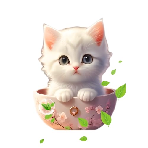 L̖F܎Ԃ̒ʋCA킢̎Ԃ̖F | 킢̔L̎ԗpA}Zs[GARʋCNbvL̊C̍̌ő̃A}Zs[ԗpfBt[U[̔Ľ`̎Ԃ̃fBt[U[ xg Nbv | C̍ԖA}fBt[U[
