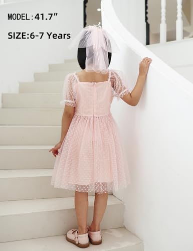 Toddler Girl Flower Gril Princess Dresses Dot Tulle Puff Sleeve Party Tutu Dress for Birthday4