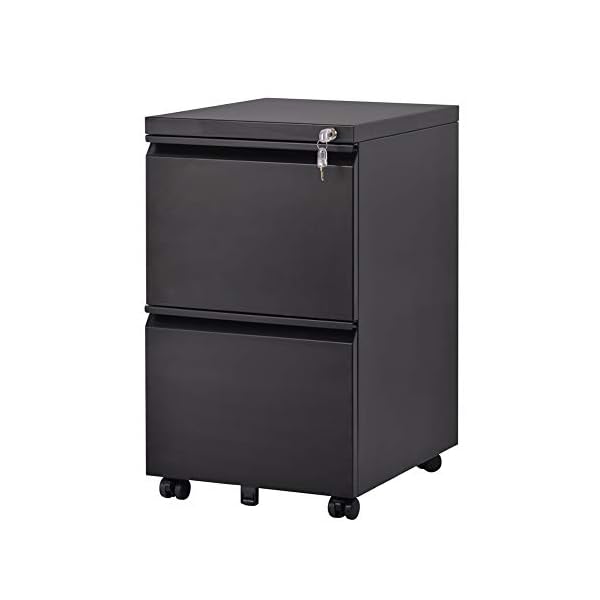 Buccy 2 Drawer Filing Cabinet Mobile Home Office Filing Cabinet, Filing Cabinet With Lock Home Filing Furniture - Image 5
