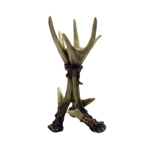 Diexgiy[bp̃gȎ̊p̐C̑i̒Ƃ̃fXNgbv̐C̑H|i