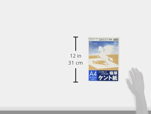 けんた@ページ Amazon | SAKAEテクニカルペーパー 極厚 ケント紙 308g/m2 A4 10