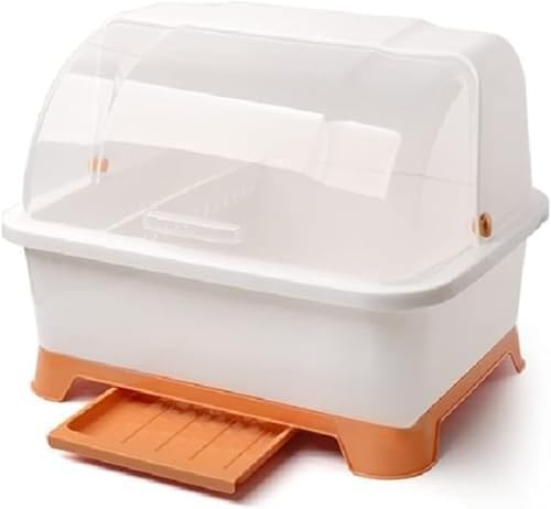 IWEJ HhbN XL TCY O[ Wthoh ^eue O\ ؂[{bNX Lb`p (Large,IW)