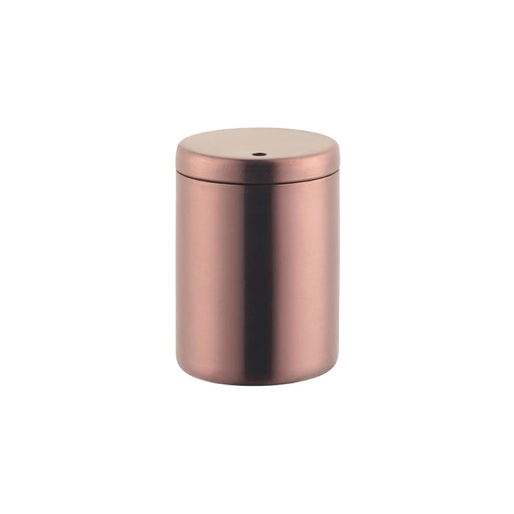 AYCDL Toothpick Dispenser Metal Toothpick Holder Dental Floss Box Toothpick Can Household Restaurant Hotel Desktop Toothpick Holder Dispenser Toothpicks For Appetizers,A2pc