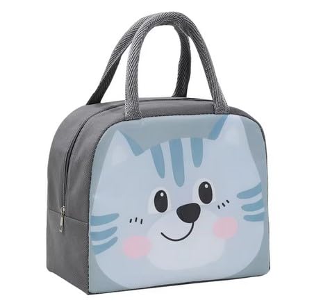 Insulated Lunch bag for Kids,Children-Waterproof Aluminium Foil (size-22x11x19 cm) (grey) (B0D7ZQ3Y87) Amazon Price History, Amazon Price Tracker