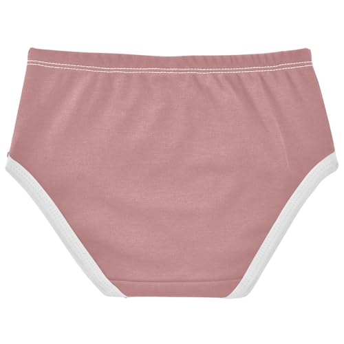 Joisal Rose Pink Toddlers Underwear Floral 2t Cotton Little Girl Panties Artistic Briefs Underpants2