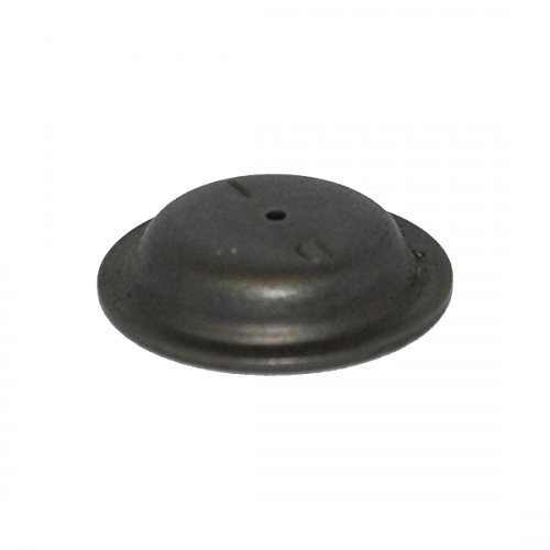 TeeJet D5 Disc-Core HSS Hardened Stainless Steel Spray Nozzle - for Brass Cores (Pack of 12)