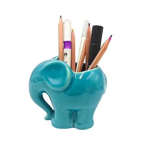 Youfui Blue Elephant Succulent Planter with Drainage...