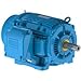 Weg Electric Motors WEG Severe Duty, IEEE 841 Motor, 02036ST3HIE256T-W22, 20 HP, 3600 RPM, 575 Volts, TEFC, 3 PH