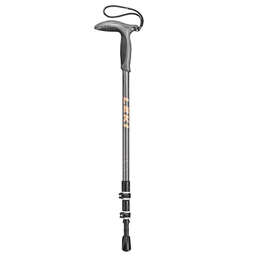 Wanderfreund Speed Lock 2 Trekking Pole