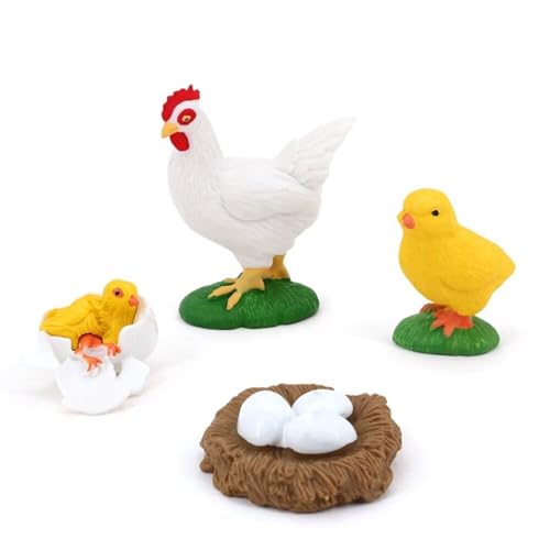Hvogvok Hen Growth Cycle, Animal Growth Cycle Biological Model , Growth Stage Lifelike Hen Life Cycle Model Set for Kids Education Insect Themed Party Favors