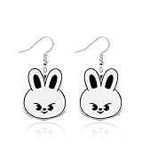 OKEYCH Kpop Merchandise Kpop Fan Earrings Kpop Music Lover Jewelry for Fan Girls (SK 02 Earrings)