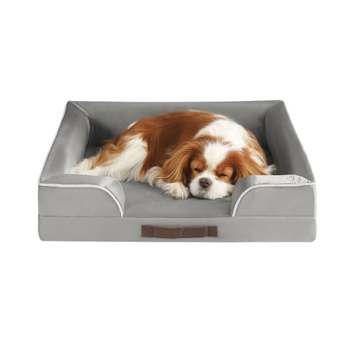 Are corgis small or medium dogs
