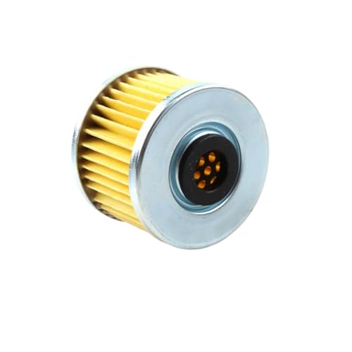 Discover 100�A110�A125�A100M ���f���ɑΉ������I�[�g�o�C�p�I�C���t�B���^�[(1pc)