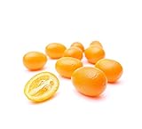 Kejora Fresh Kumquats 2 LB
