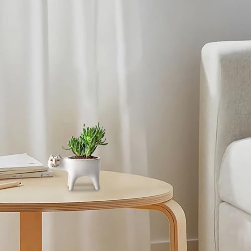 Récipient de plantes succulentes chat pot de fleur en céramique table - 8