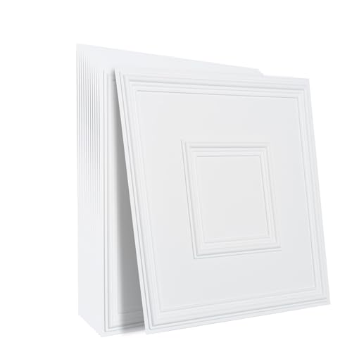 VEVOR Paneles para Techo Suspendido, Paquete de 12, Láminas de PVC de Primera Calidad, Fácil Instalación/Corte, Plástico, para Decoración del Hogar/Oficina, Diseño Geométrico Blanco, 605 x 605 mm