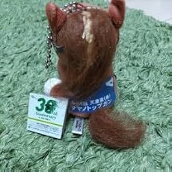 マヤノトップガン アイドルホース Amazon.co.jp: アイドルホース マヤノトップガン 第115回 天皇賞