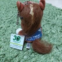 Amazon.co.jp: アイドルホース マヤノトップガン 第115回 天皇賞(春