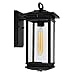 CWL Lighting Oakwood 1-Light Glass Outdoor Wall Lantern in Black