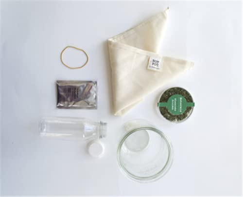 Fermentation set - Buttercreme/Buttermilch Buttercreme/Buttermilch