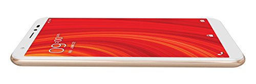 Image of Lava Z61 (Gold, 1GB RAM, 16GB Storage)