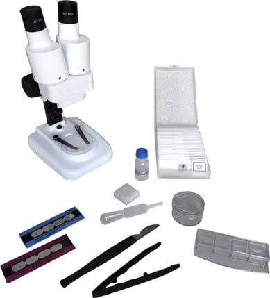 LOGI Microscopio estereoscópico binocular