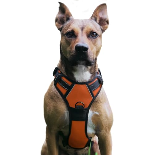 No Pull Hundegeschirr, Verstellbar Atmungsaktiv Reflektierend Weich Gepolstert Hunde Geschirr, Brustgeschirr für Hunde (Orange, M)