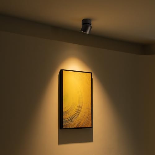 Aisilanled LED Spotlight Indoor, 9W Dimmable Ceiling Spot Lights Mounted Light Fixture, 360° Pivoting Small Directional - Additional View