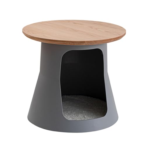 ybgnEXtTChe[u CeAybgnEX L  TChe[u  @\ ybgxbh NbVt (O[ؐFiVj, )