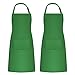 2 Piezas Delantales de Cocina para Hombre Mujer, Delantal Barbacoa Aventais de Churrasco Impermeable Ajustable con 2 Bolsillos para Pintar, Hornear